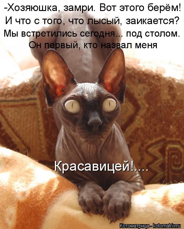 VFL.RU -  