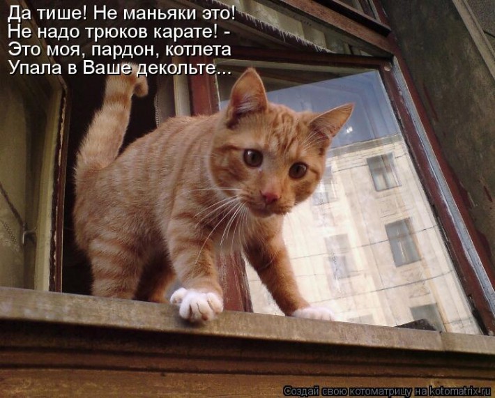 VFL.RU -  