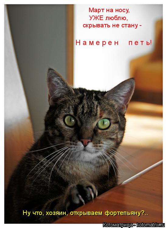 VFL.RU -  