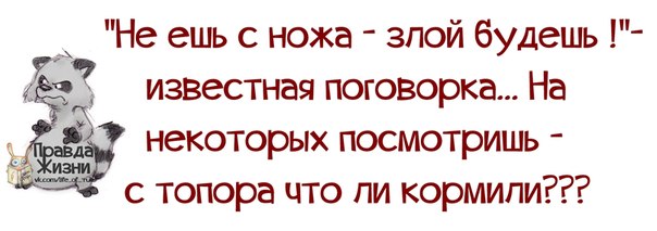 VFL.RU - ��� �����������