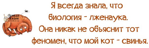 VFL.RU - ��� �����������