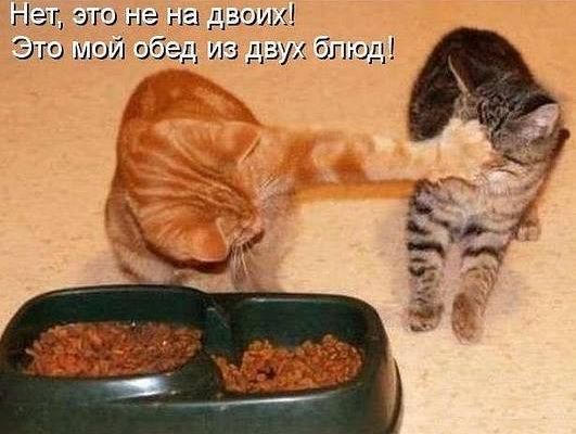 VFL.RU - ��� �����������