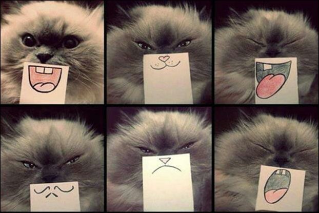 VFL.RU - ��� �����������