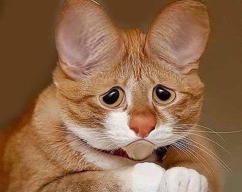 VFL.RU - ��� �����������