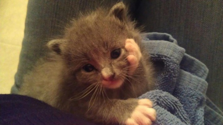 VFL.RU - ��� �����������