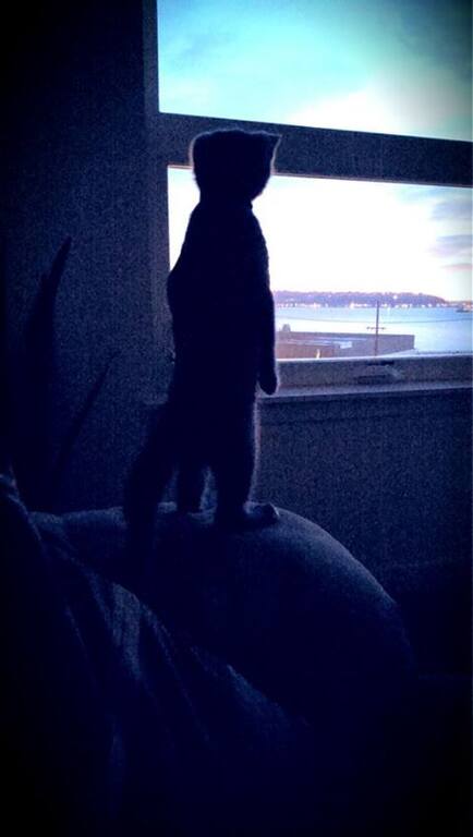 VFL.RU - ��� �����������