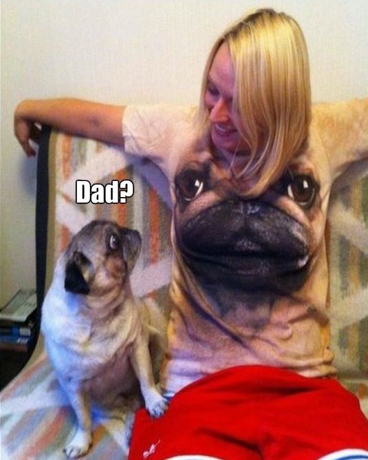 VFL.RU - ��� �����������