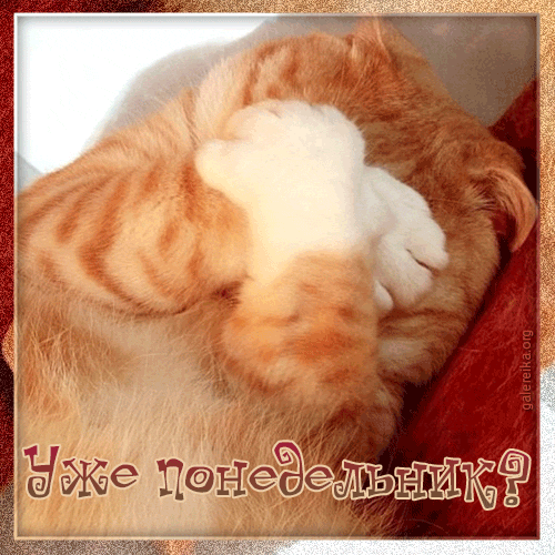 VFL.RU - ��� �����������