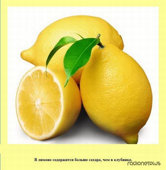 VFL.RU -  