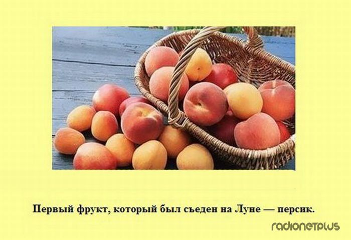 VFL.RU -  