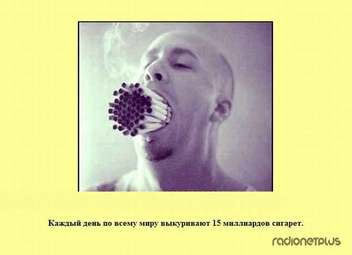 VFL.RU -  