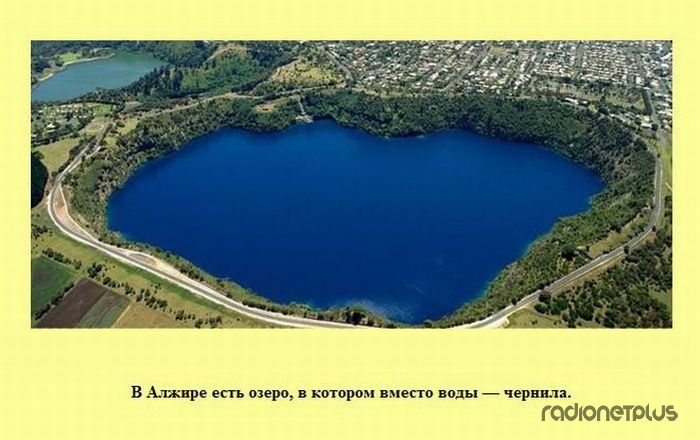 VFL.RU -  
