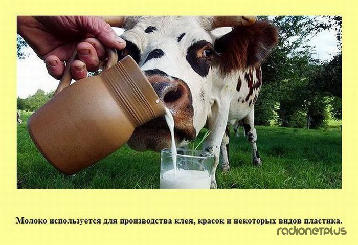 VFL.RU -  