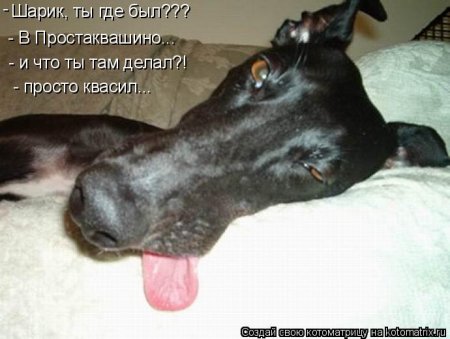 VFL.RU -  