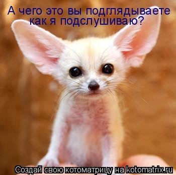 VFL.RU -  