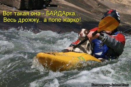 VFL.RU -  