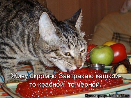 VFL.RU -  