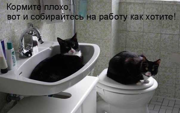 VFL.RU -  