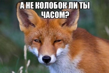 VFL.RU -  