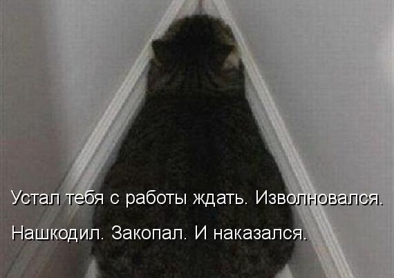 VFL.RU -  