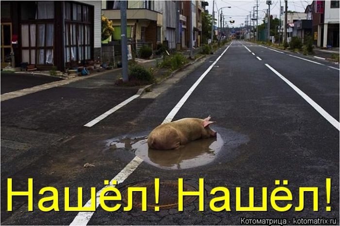 VFL.RU -  