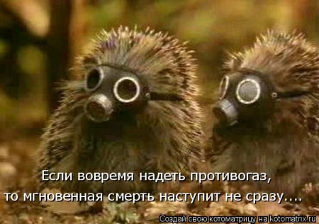 VFL.RU -  