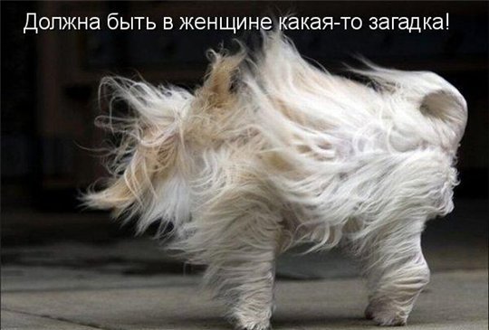 VFL.RU -  
