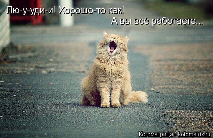 VFL.RU -  