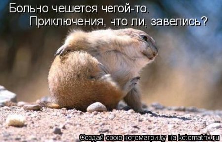 VFL.RU -  
