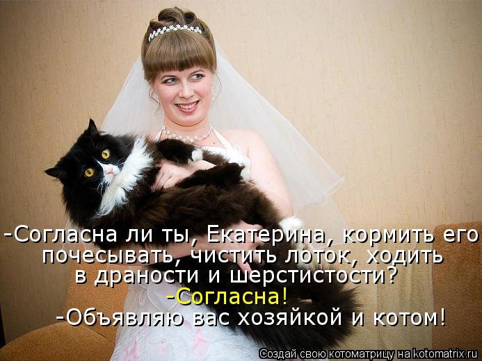 VFL.RU -  