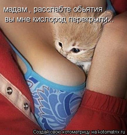VFL.RU -  