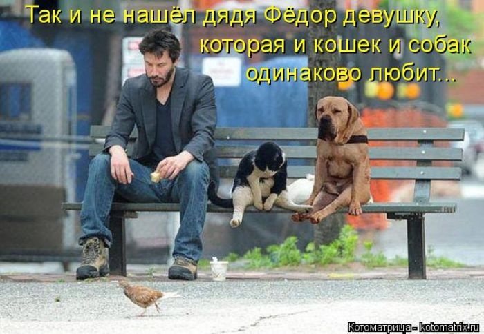 VFL.RU -  