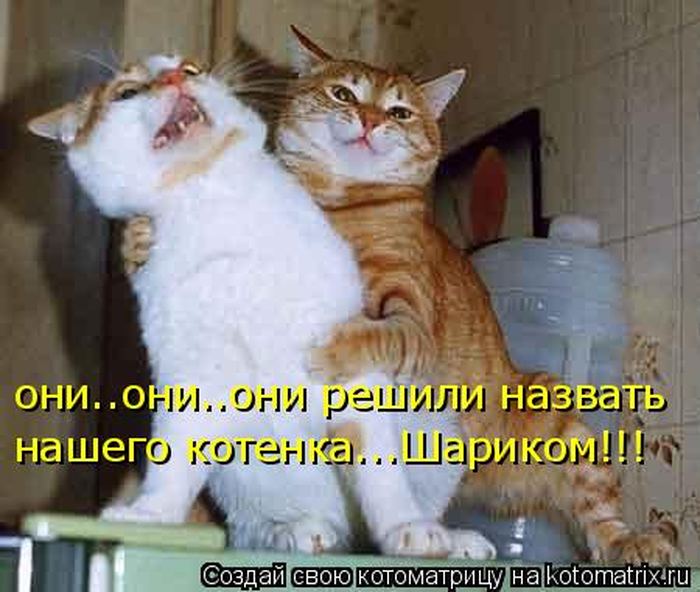 VFL.RU -  