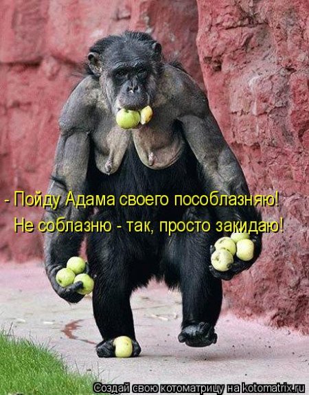 VFL.RU -  