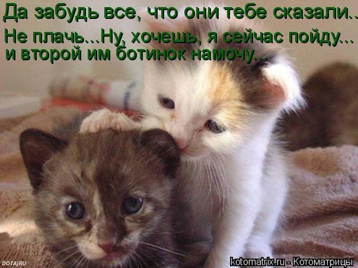 VFL.RU -  