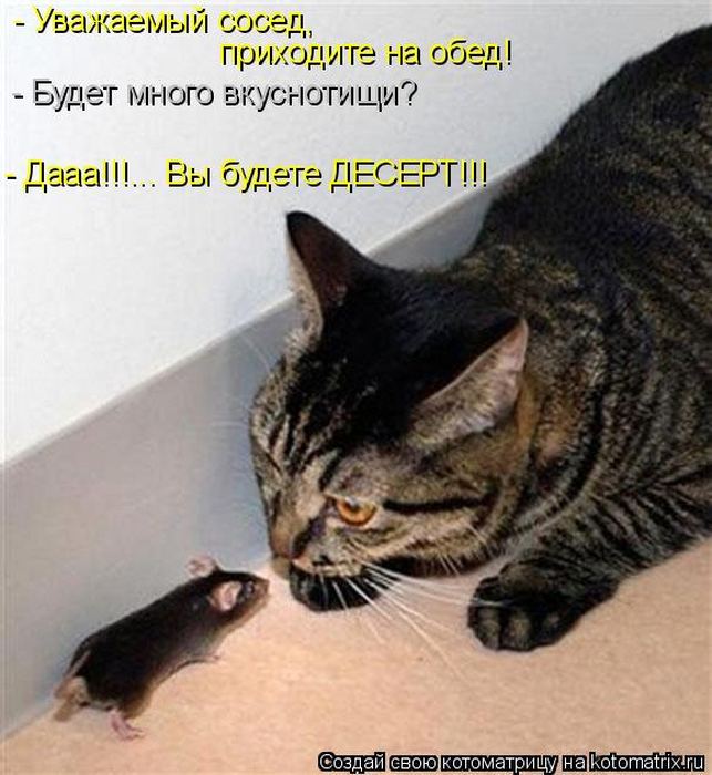 VFL.RU -  