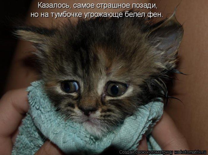 VFL.RU -  