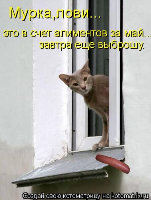 VFL.RU -  