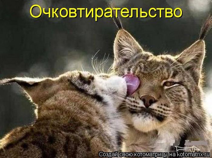 VFL.RU -  