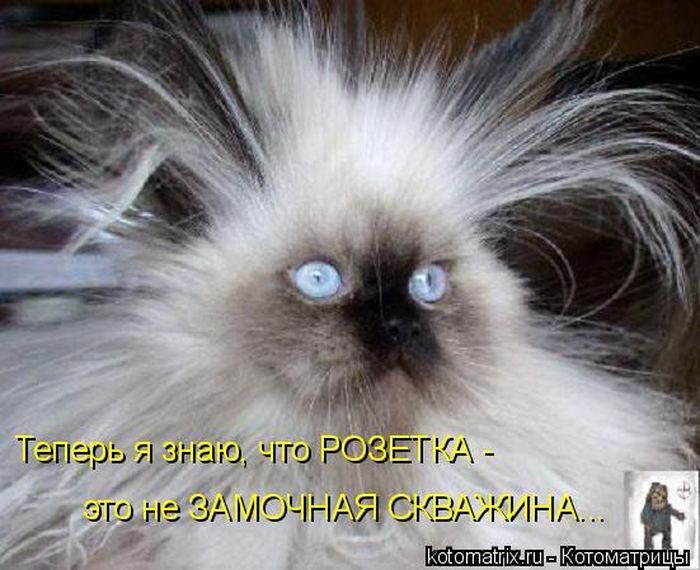 VFL.RU -  