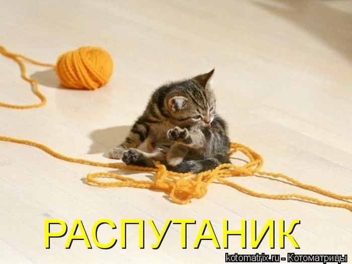 VFL.RU -  