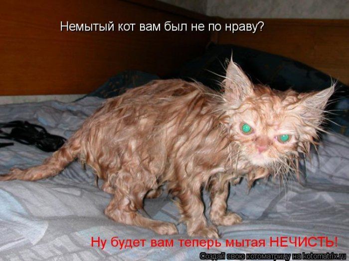VFL.RU -  