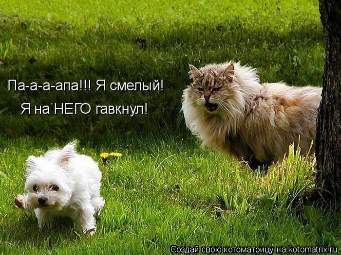 VFL.RU -  