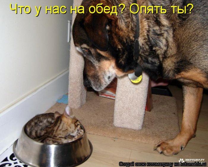 VFL.RU -  