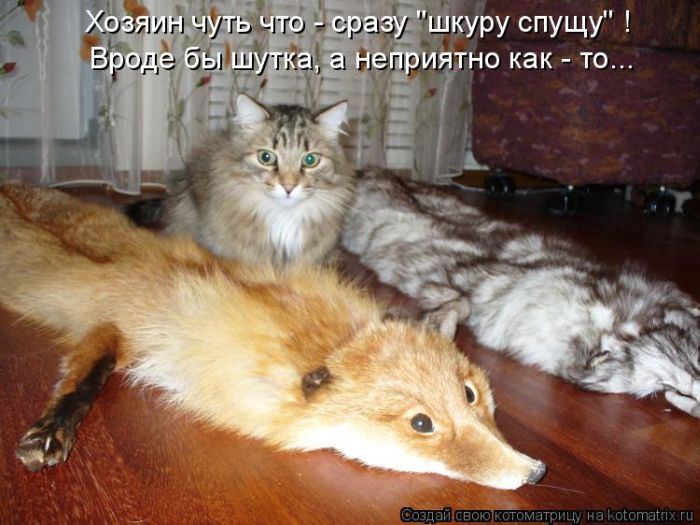 VFL.RU -  