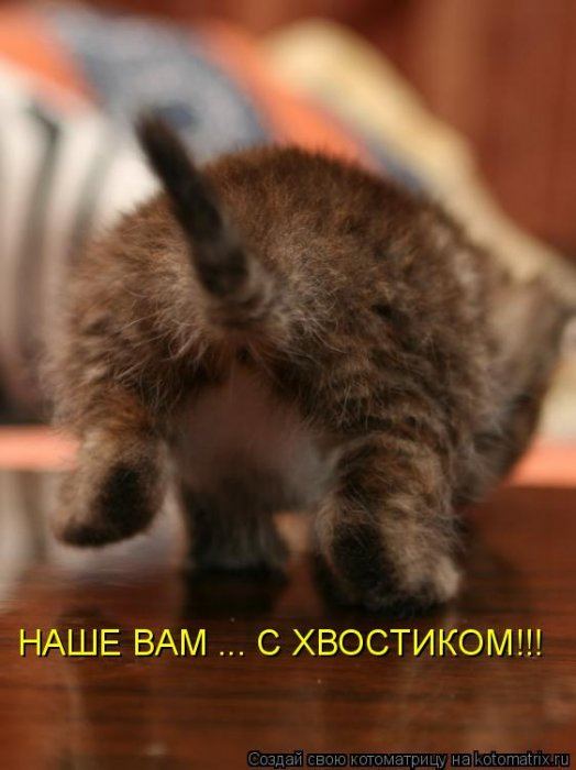 VFL.RU -  