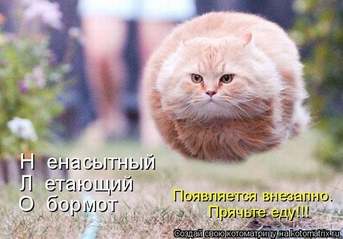 VFL.RU -  
