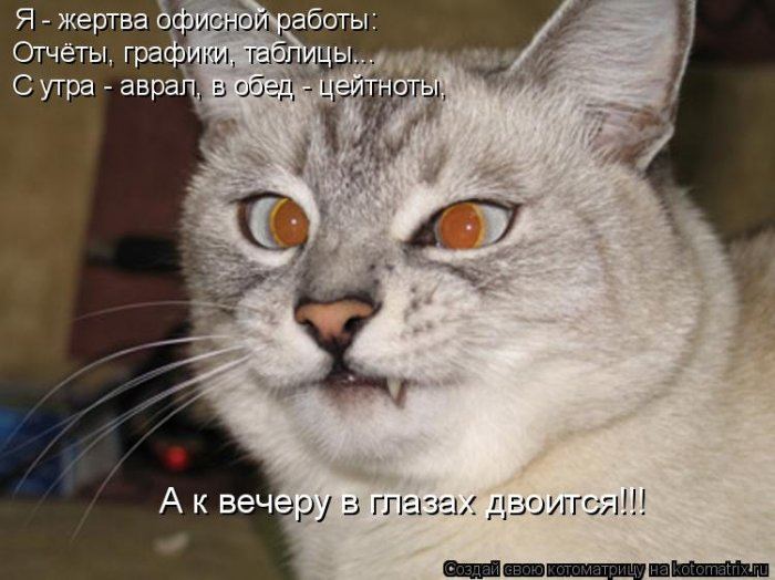 VFL.RU -  