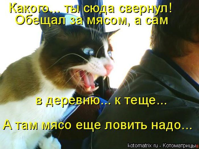 VFL.RU -  