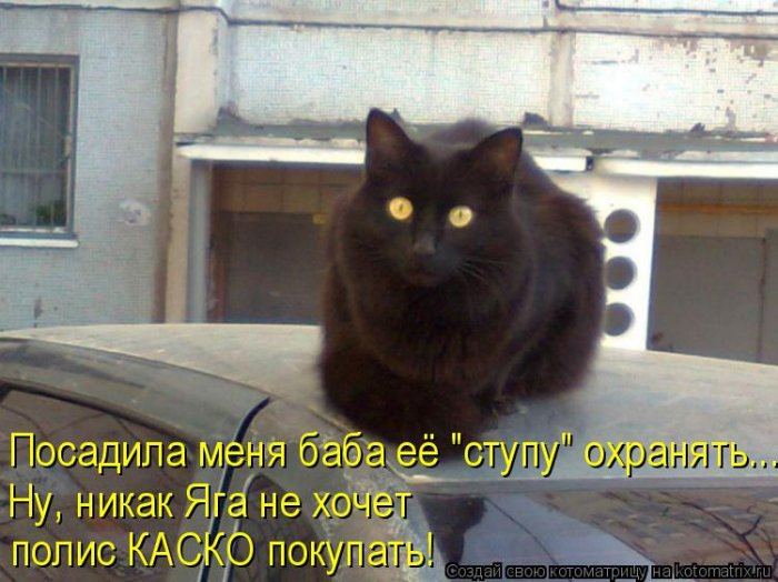 VFL.RU -  